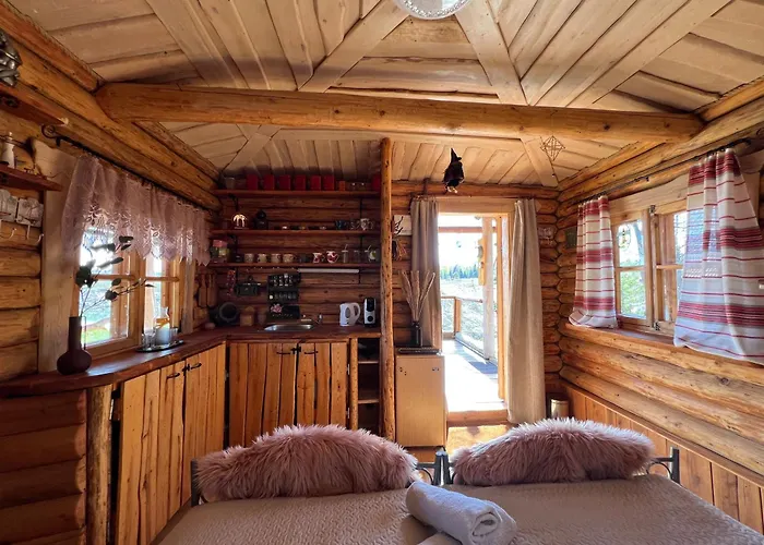 Metsakuurorti Puhkekeskus, Kunksmoor House 펜션 Vaeike-Saerge